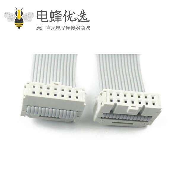  2.54mm间距排线2x7针14针14线IDC扁平带状电缆长度20CM连接器
