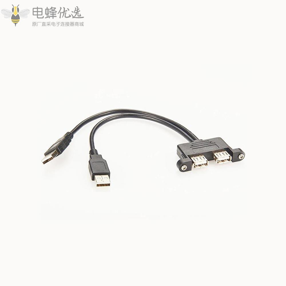 Type_A双USB_2.0公转母延长线30厘米带螺丝面板安装孔
