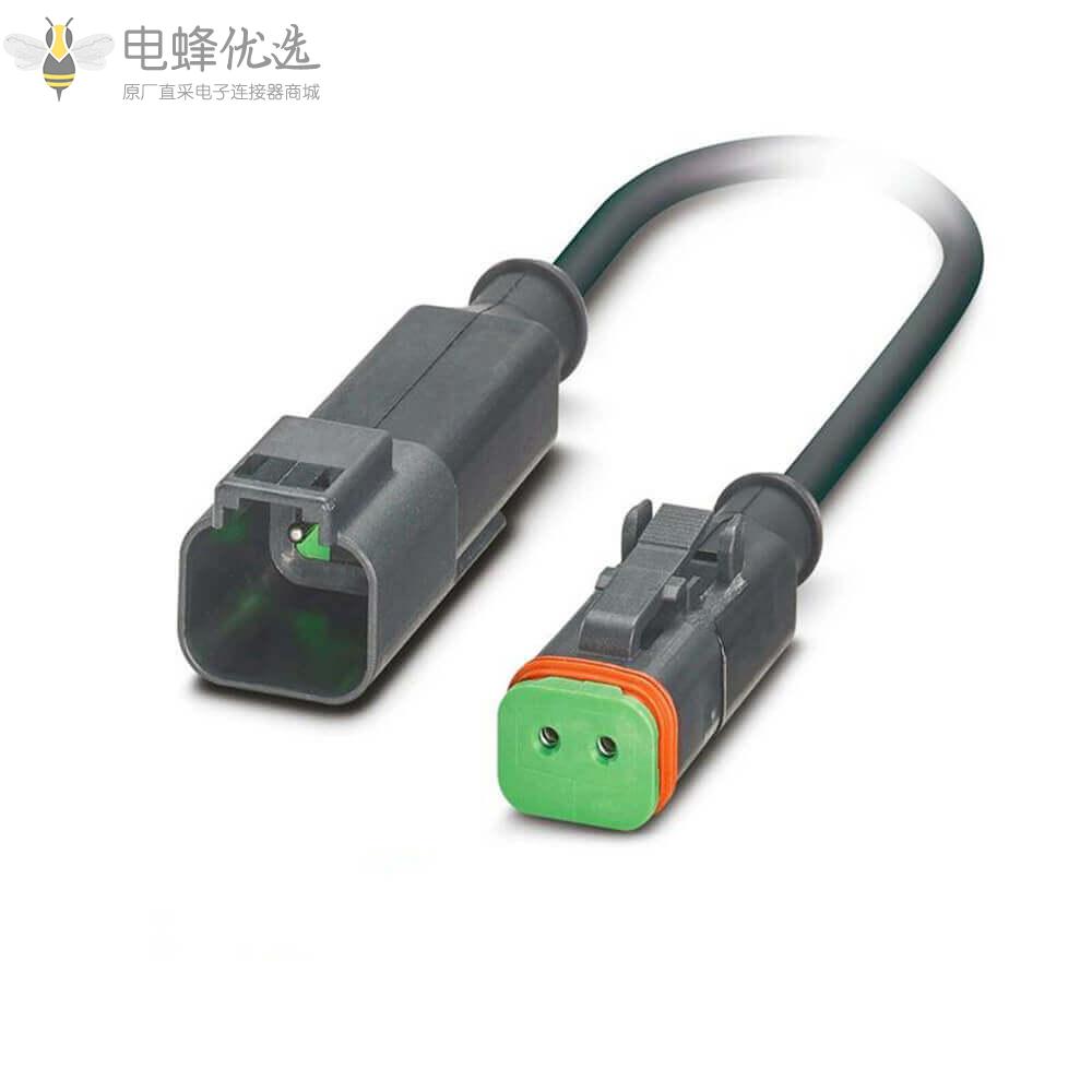 DT06_2芯公头转2芯母头防水注塑线材10cm